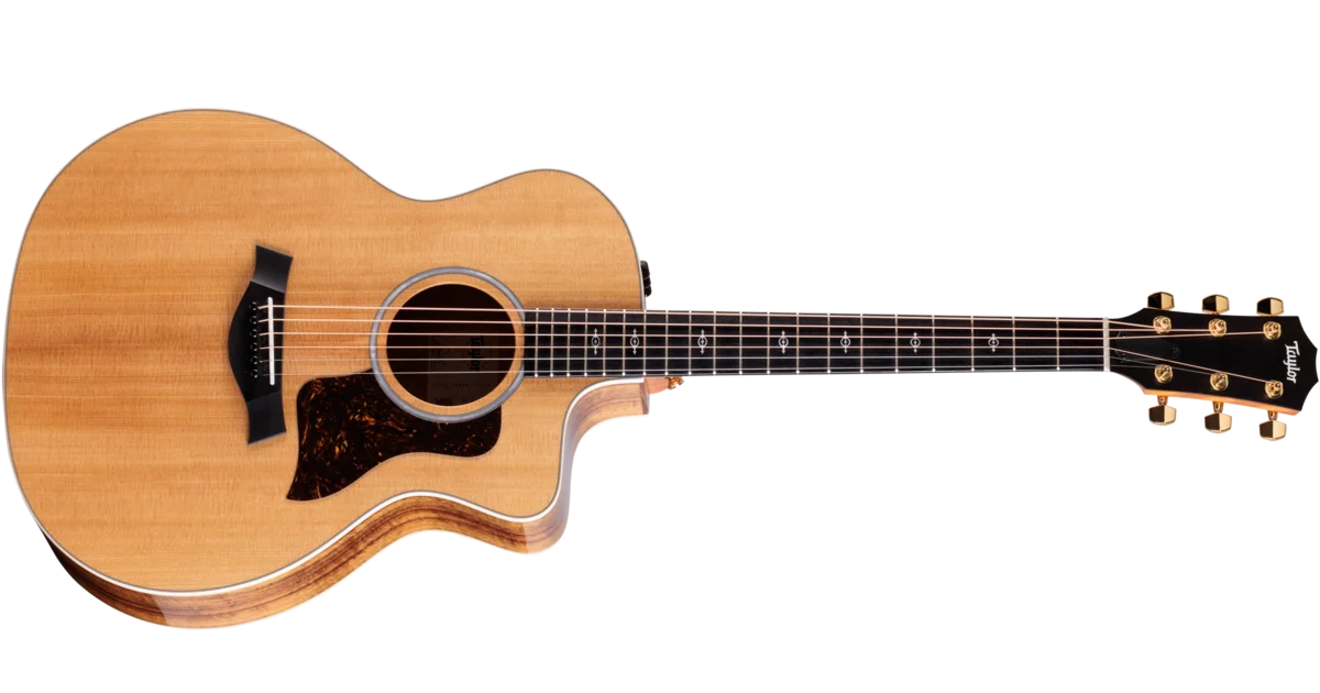 Taylor 214　ハードケース付き 214ce-K DLX ハワイアン・コア アコースティック エレクトリック